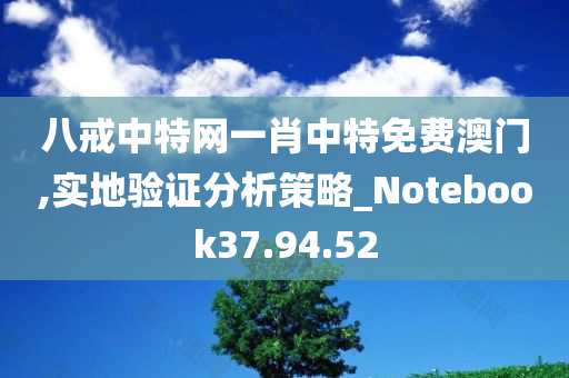 八戒中特网一肖中特免费澳门,实地验证分析策略_Notebook37.94.52