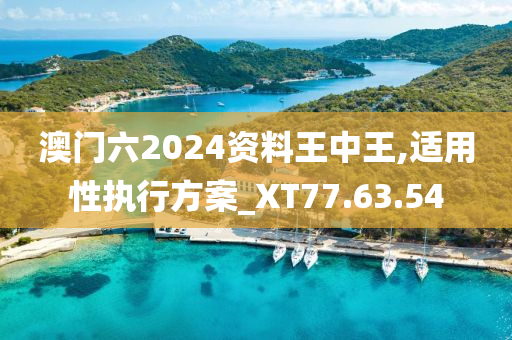 澳门六2024资料王中王,适用性执行方案_XT77.63.54