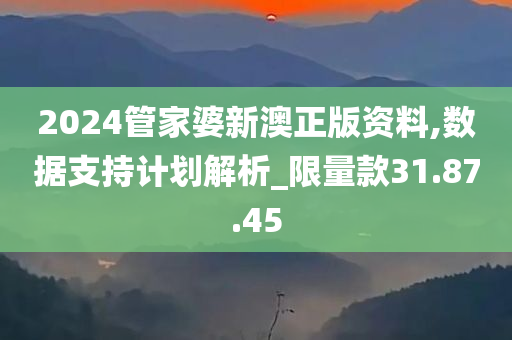 2024管家婆新澳正版资料,数据支持计划解析_限量款31.87.45