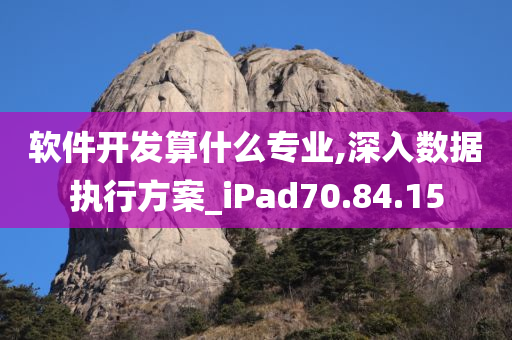 软件开发算什么专业,深入数据执行方案_iPad70.84.15