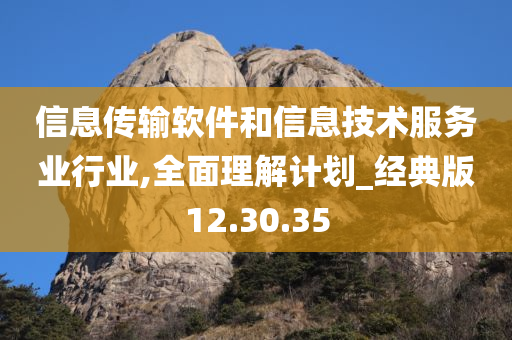 信息传输软件和信息技术服务业行业,全面理解计划_经典版12.30.35