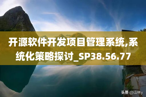 开源软件开发项目管理系统,系统化策略探讨_SP38.56.77