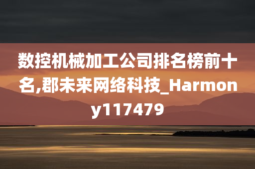 数控机械加工公司排名榜前十名,郡未来网络科技_Harmony117479