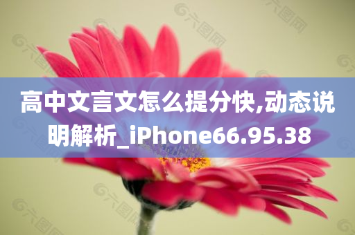 高中文言文怎么提分快,动态说明解析_iPhone66.95.38