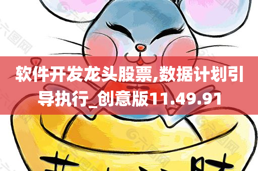 软件开发龙头股票,数据计划引导执行_创意版11.49.91