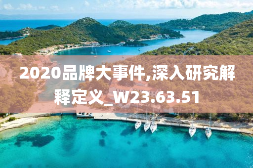 2020品牌大事件,深入研究解释定义_W23.63.51