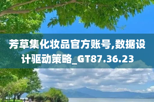 芳草集化妆品官方账号,数据设计驱动策略_GT87.36.23