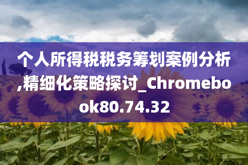 个人所得税税务筹划案例分析,精细化策略探讨_Chromebook80.74.32