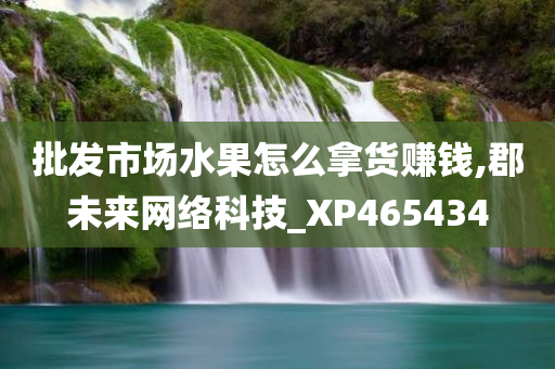 批发市场水果怎么拿货赚钱,郡未来网络科技_XP465434