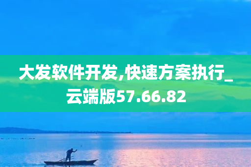 大发软件开发,快速方案执行_云端版57.66.82