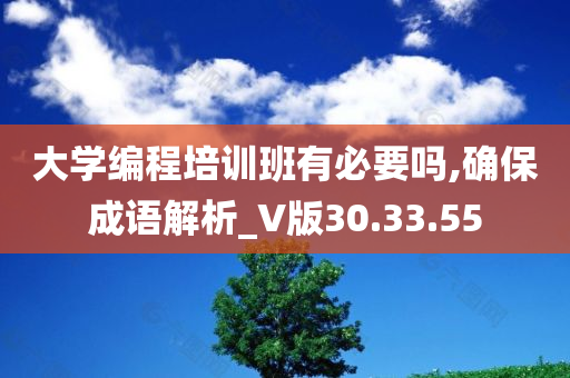 大学编程培训班有必要吗,确保成语解析_V版30.33.55