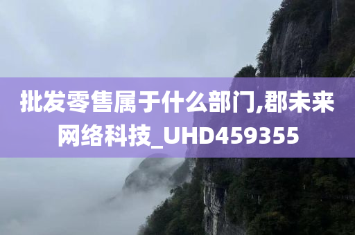 批发零售属于什么部门,郡未来网络科技_UHD459355