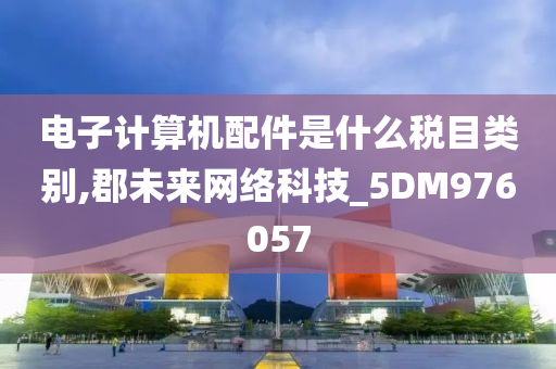 电子计算机配件是什么税目类别,郡未来网络科技_5DM976057