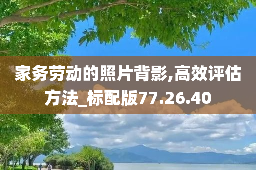 家务劳动的照片背影,高效评估方法_标配版77.26.40