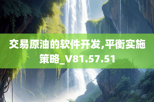 交易原油的软件开发,平衡实施策略_V81.57.51