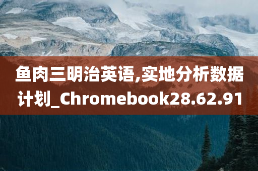 鱼肉三明治英语,实地分析数据计划_Chromebook28.62.91