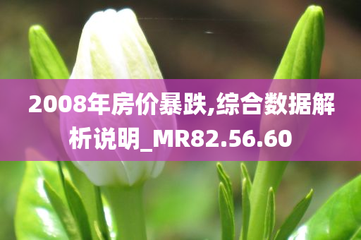 2008年房价暴跌,综合数据解析说明_MR82.56.60