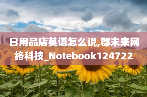 日用品店英语怎么说,郡未来网络科技_Notebook124722