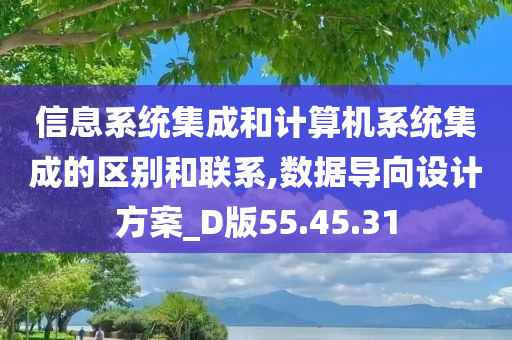 信息系统集成和计算机系统集成的区别和联系,数据导向设计方案_D版55.45.31