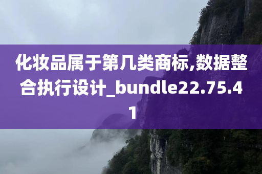 化妆品属于第几类商标,数据整合执行设计_bundle22.75.41