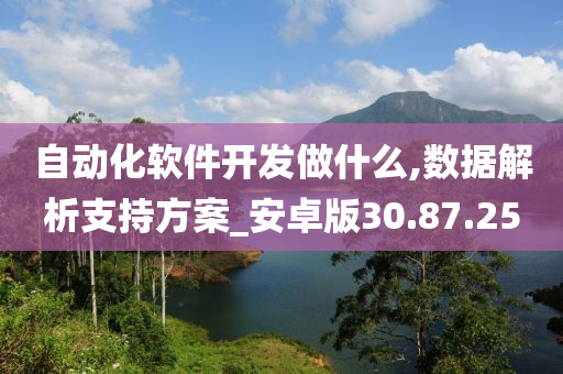 自动化软件开发做什么,数据解析支持方案_安卓版30.87.25