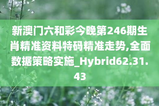 新澳门六和彩今晚第246期生肖精准资料特码精准走势,全面数据策略实施_Hybrid62.31.43