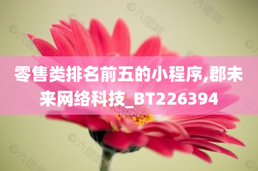 零售类排名前五的小程序,郡未来网络科技_BT226394