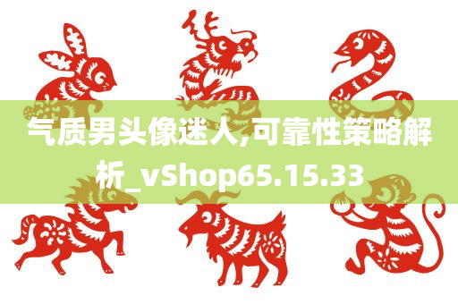 气质男头像迷人,可靠性策略解析_vShop65.15.33