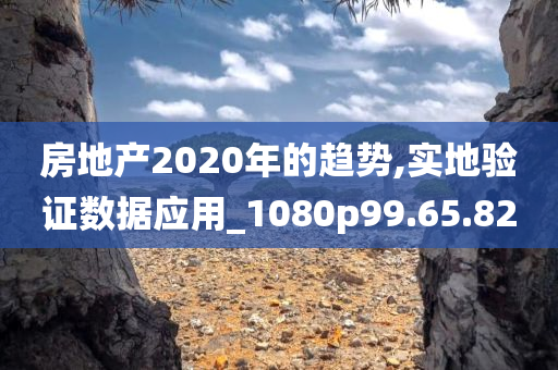 房地产2020年的趋势,实地验证数据应用_1080p99.65.82