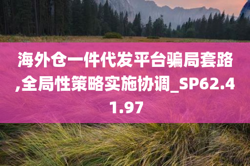 海外仓一件代发平台骗局套路,全局性策略实施协调_SP62.41.97