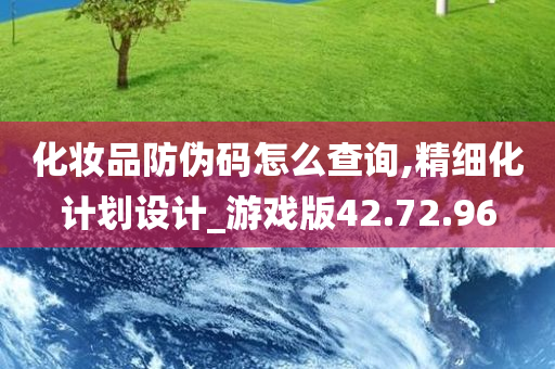 化妆品防伪码怎么查询,精细化计划设计_游戏版42.72.96