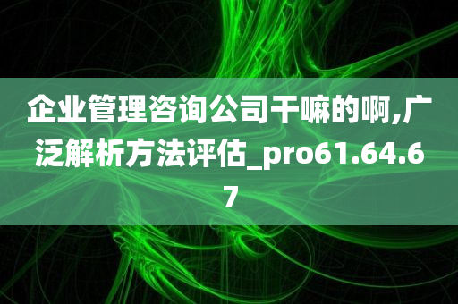 企业管理咨询公司干嘛的啊,广泛解析方法评估_pro61.64.67