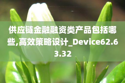 供应链金融融资类产品包括哪些,高效策略设计_Device62.63.32