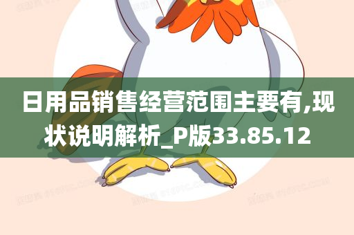 日用品销售经营范围主要有,现状说明解析_P版33.85.12