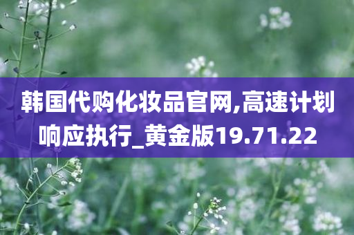 韩国代购化妆品官网,高速计划响应执行_黄金版19.71.22