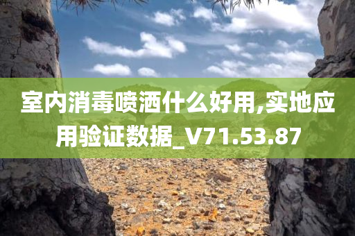 室内消毒喷洒什么好用,实地应用验证数据_V71.53.87