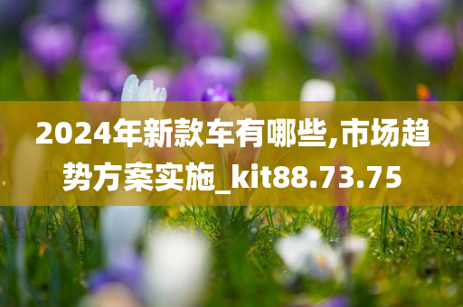 2024年新款车有哪些,市场趋势方案实施_kit88.73.75