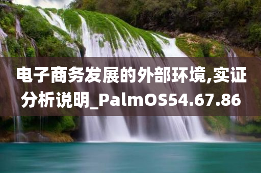 电子商务发展的外部环境,实证分析说明_PalmOS54.67.86