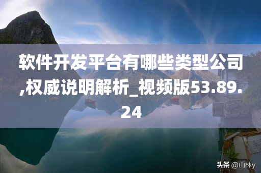 软件开发平台有哪些类型公司,权威说明解析_视频版53.89.24