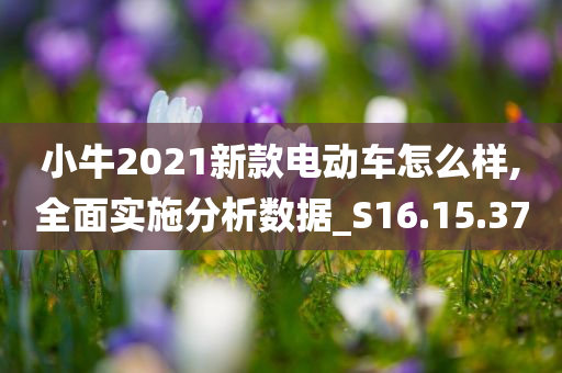 小牛2021新款电动车怎么样,全面实施分析数据_S16.15.37