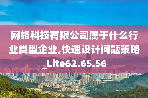 网络科技有限公司属于什么行业类型企业,快速设计问题策略_Lite62.65.56