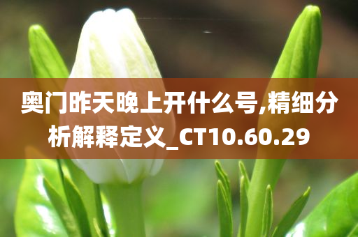 奥门昨天晚上开什么号,精细分析解释定义_CT10.60.29