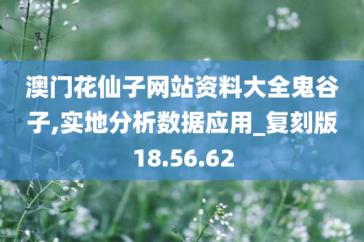 澳门花仙子网站资料大全鬼谷子,实地分析数据应用_复刻版18.56.62