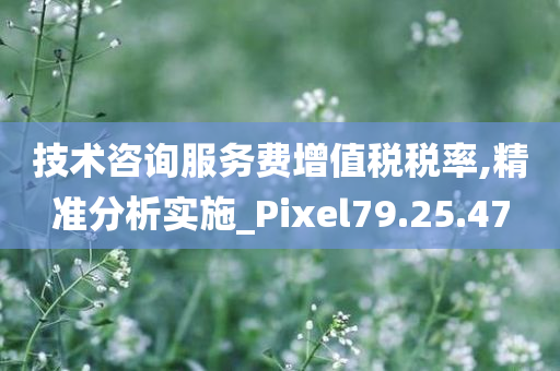 技术咨询服务费增值税税率,精准分析实施_Pixel79.25.47