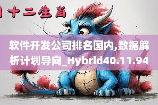 软件开发公司排名国内,数据解析计划导向_Hybrid40.11.94