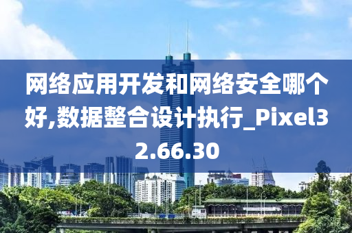 网络应用开发和网络安全哪个好,数据整合设计执行_Pixel32.66.30