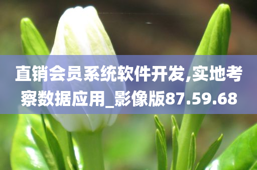 直销会员系统软件开发,实地考察数据应用_影像版87.59.68