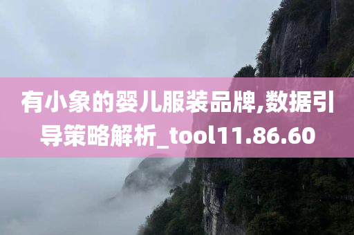 有小象的婴儿服装品牌,数据引导策略解析_tool11.86.60