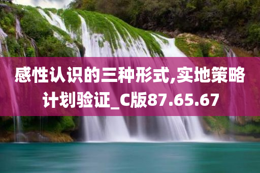 感性认识的三种形式,实地策略计划验证_C版87.65.67