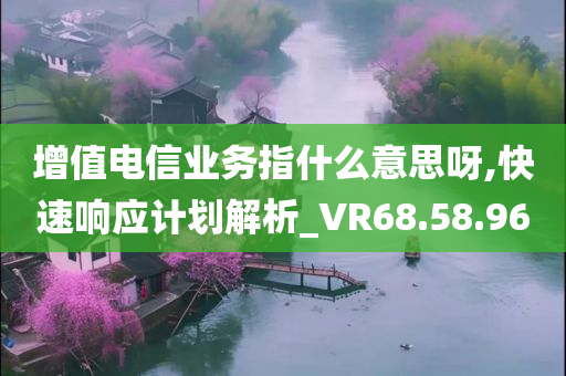 增值电信业务指什么意思呀,快速响应计划解析_VR68.58.96